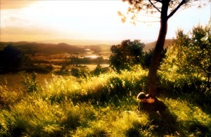 savates-du-bon-dieu-2000-07-g