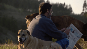 vlcsnap-2013-10-07-13h58m29s207