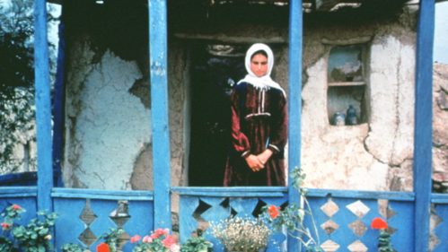 THROUGH THE OLIVE TREES / UNDER THE OLIVE TREES